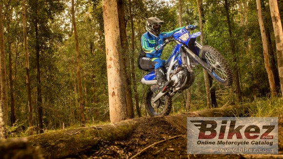 2021 Yamaha WR450F