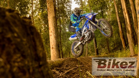 2021 Yamaha WR450F