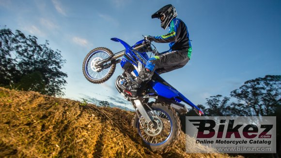 2021 Yamaha WR450F