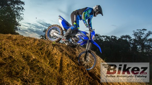 2021 Yamaha WR450F