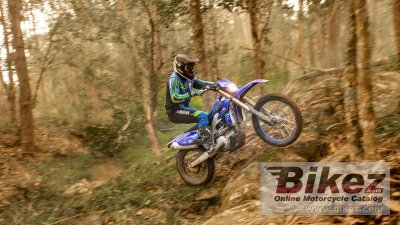 2021 Yamaha WR450F