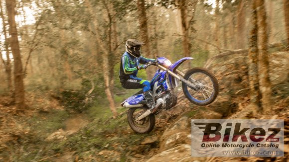 2021 Yamaha WR450F