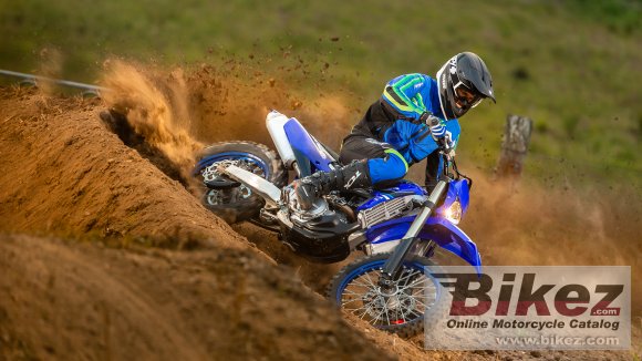 2021 Yamaha WR450F