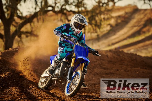 2021 Yamaha YZ65