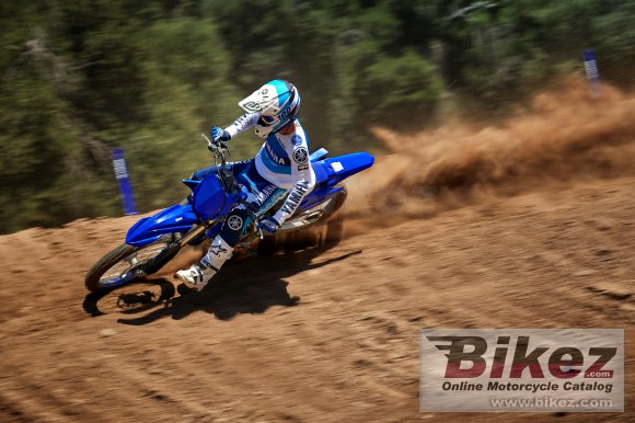 2021 Yamaha YZ125