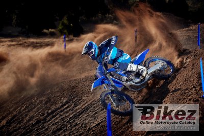 2021 Yamaha YZ250F