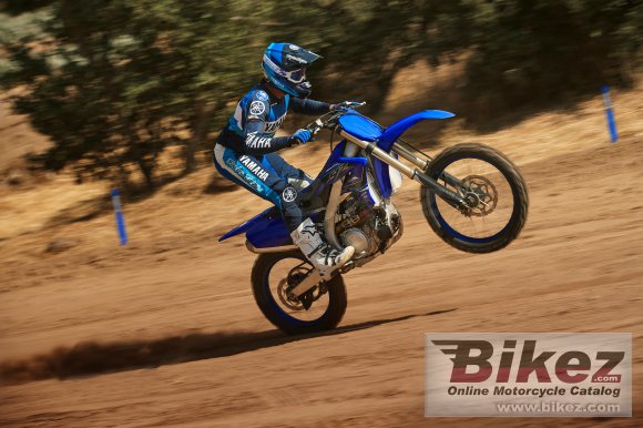 2021 Yamaha YZ450F