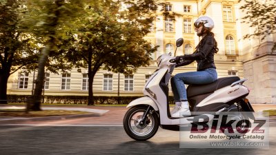 2021 Yamaha Delight
