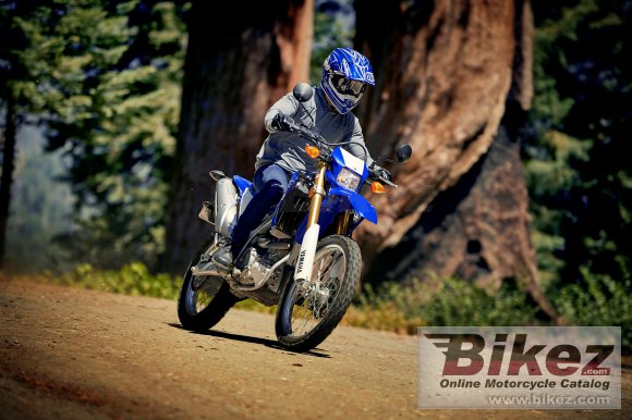 2021 Yamaha WR250R