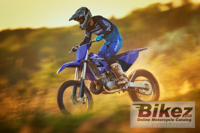 2021 Yamaha YZ250X
