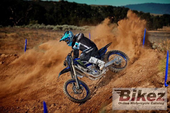 2021 Yamaha YZ450F Monster Energy