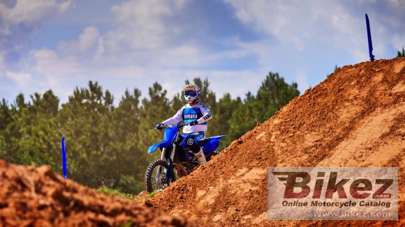 2022 Yamaha YZ450F