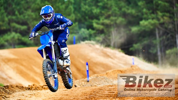 2022 Yamaha YZ85LW