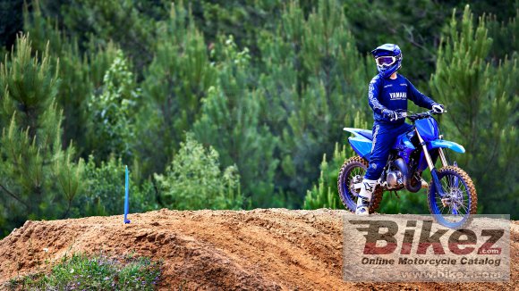 2022 Yamaha YZ85LW