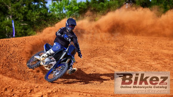 2022 Yamaha YZ250F Monster Energy