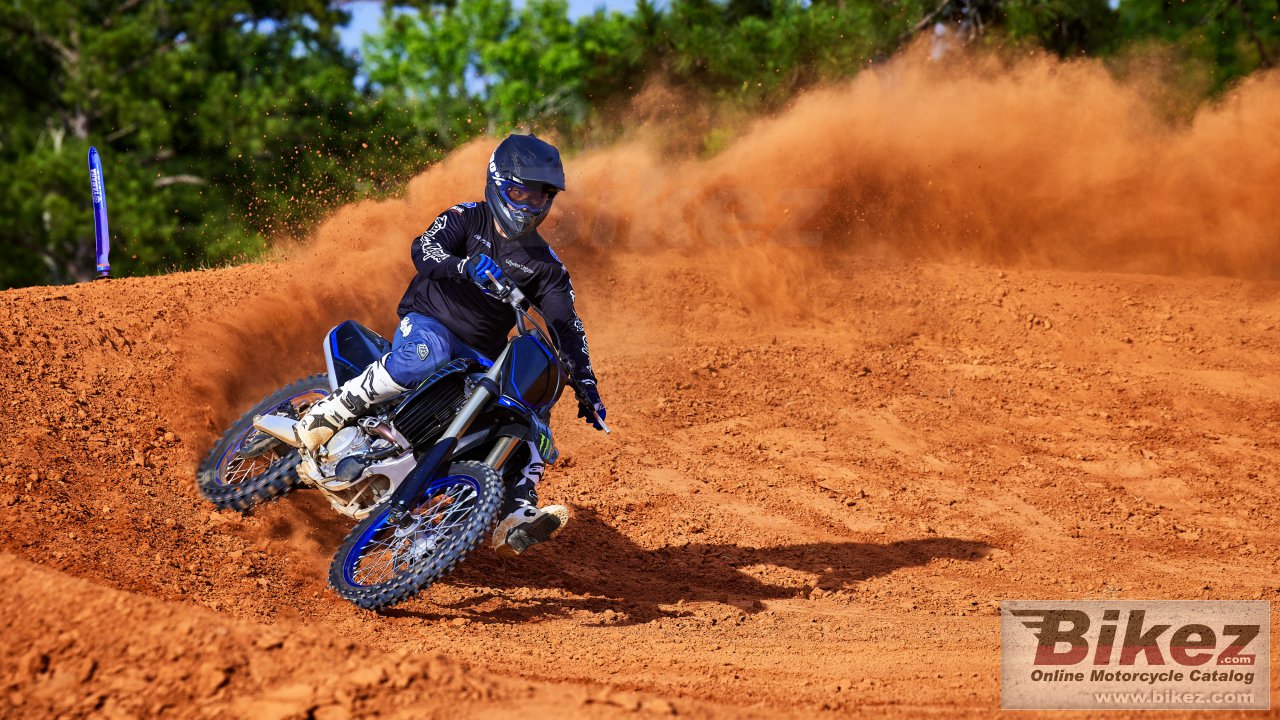 Yamaha YZ250F Monster Energy