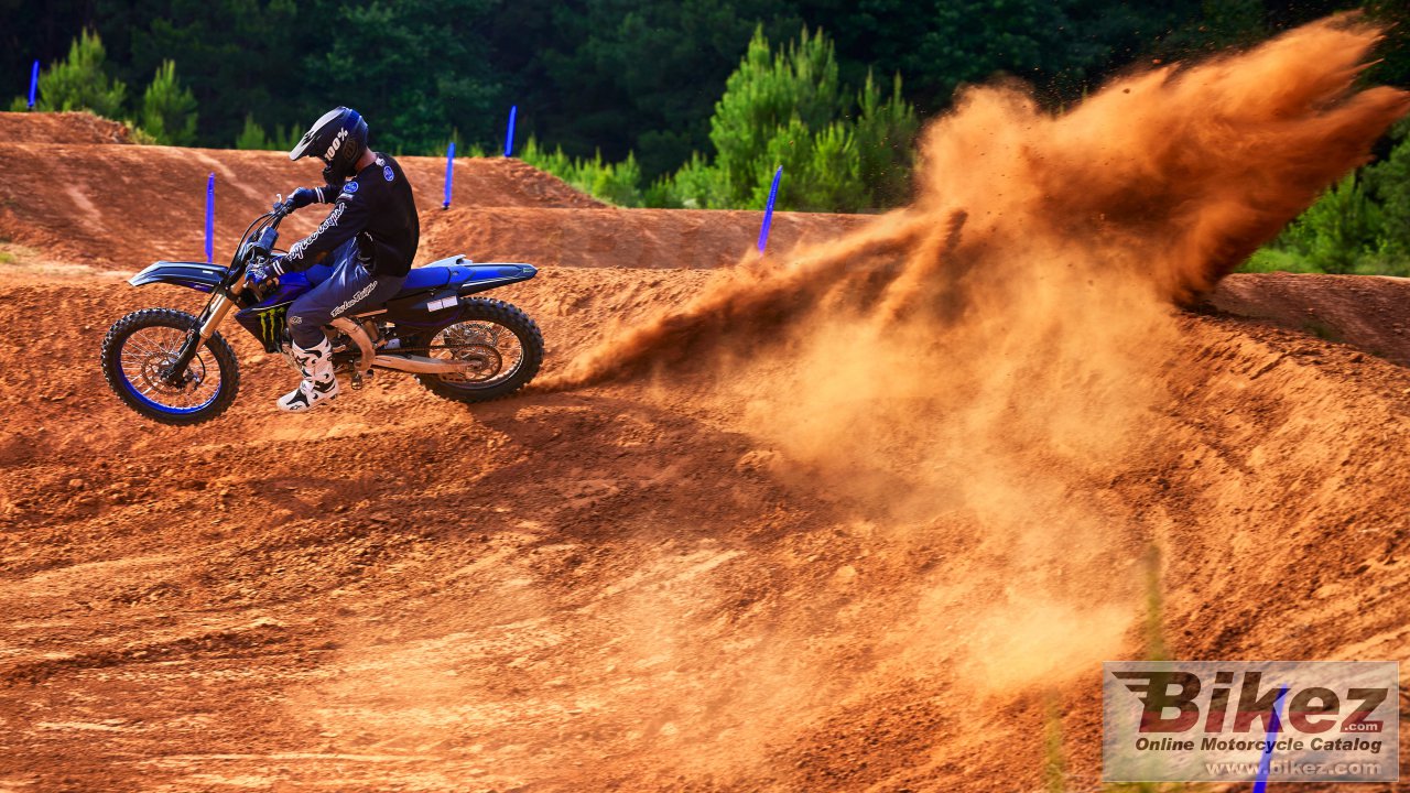 Yamaha YZ250F Monster Energy