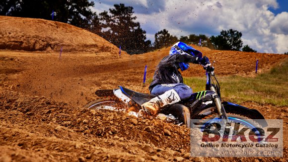 2022 Yamaha YZ250 Monster Energy