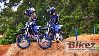 2022 Yamaha YZ250 Monster Energy