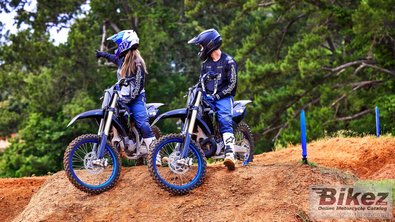 Yamaha YZ250 Monster Energy