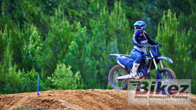 2022 Yamaha YZ125 Monster Energy