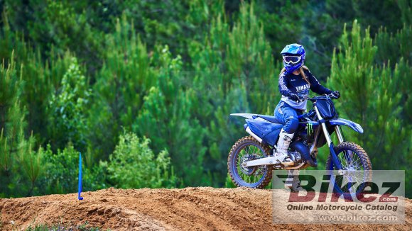 2022 Yamaha YZ125 Monster Energy