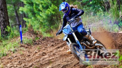 2022 Yamaha YZ125 Monster Energy