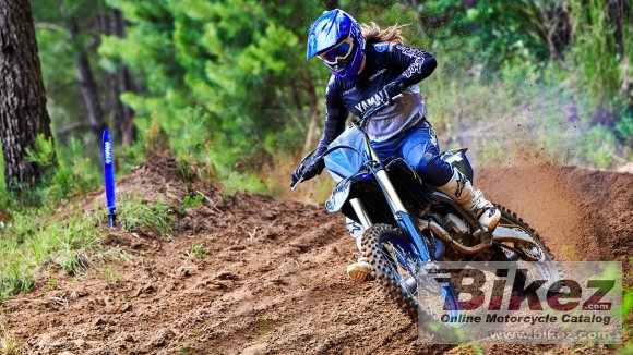 2022 Yamaha YZ125 Monster Energy