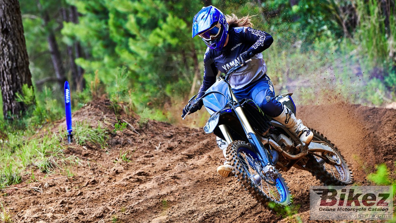 Yamaha YZ125 Monster Energy