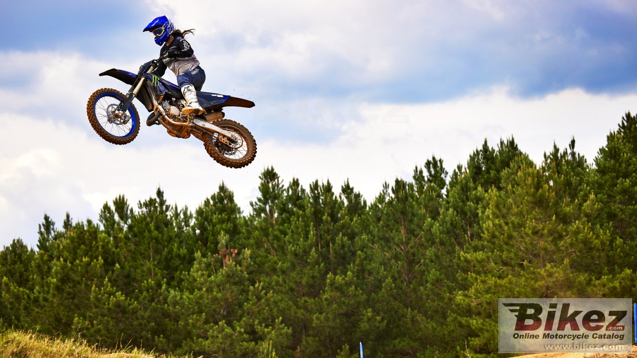 Yamaha YZ125 Monster Energy