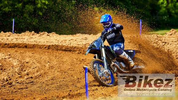 2022 Yamaha YZ125 Monster Energy