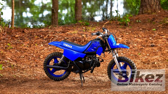 2022 Yamaha PW50