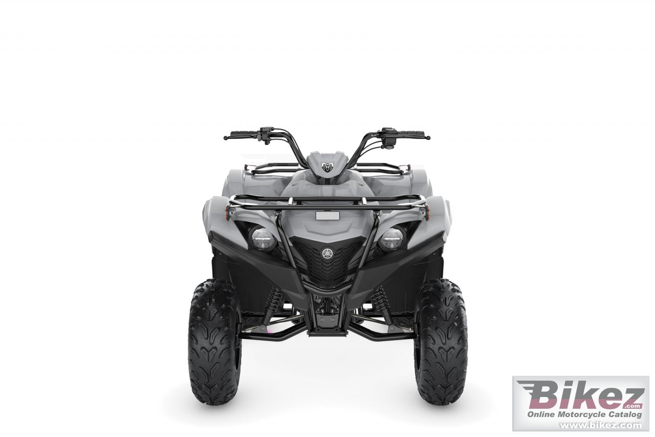 Yamaha Grizzly 90