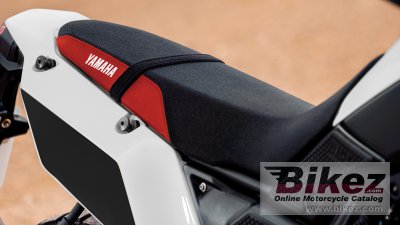 2022 Yamaha Tenere 700 Rally 