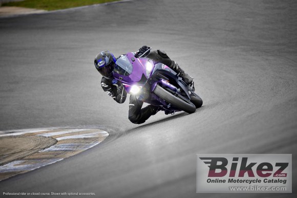 2023 Yamaha YZF-R3