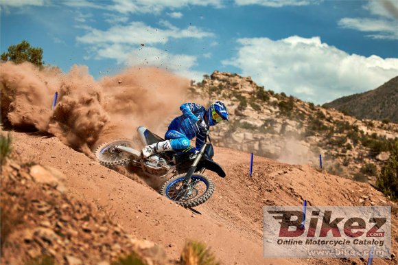 2023 Yamaha YZ450F Monster Energy