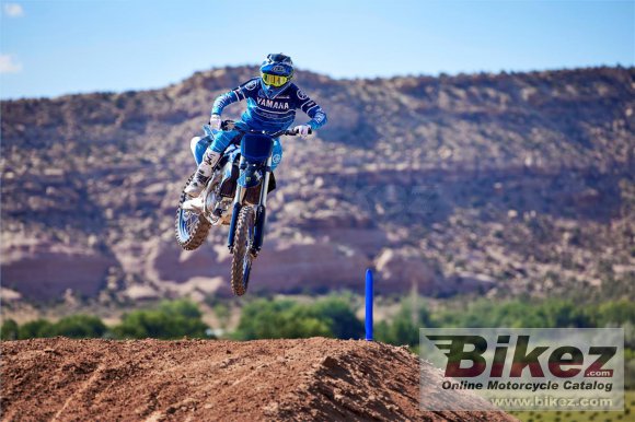 2023 Yamaha YZ450F Monster Energy