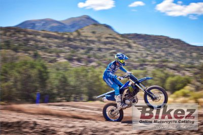 2023 Yamaha YZ450F Monster Energy