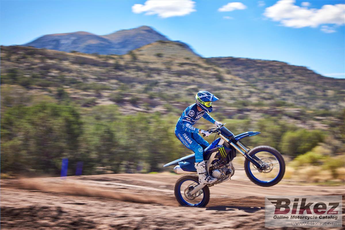 Yamaha YZ450F Monster Energy