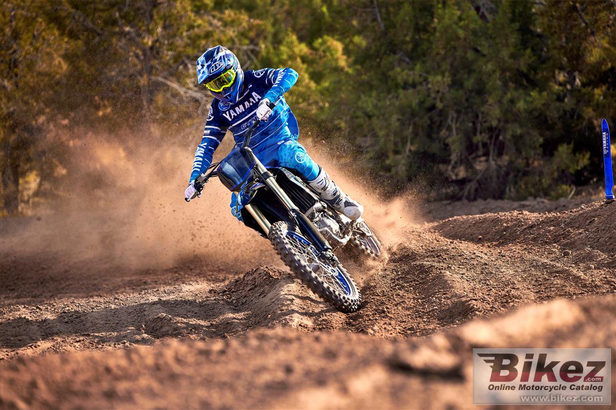 Yamaha YZ450F Monster Energy