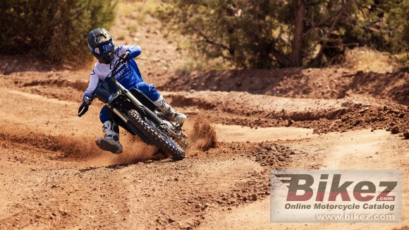 2023 Yamaha YZ450F