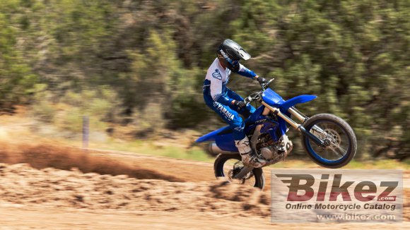 2023 Yamaha YZ450F