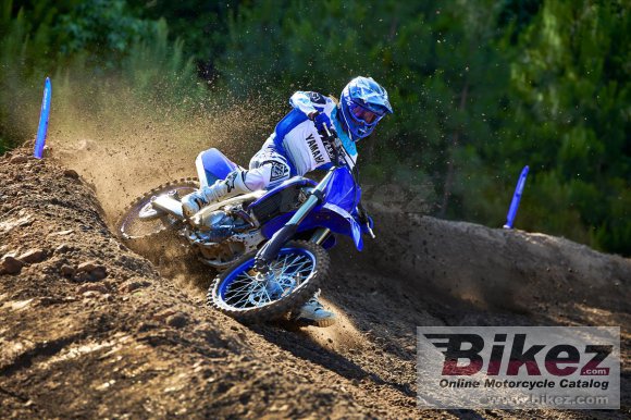 2023 Yamaha YZ250F