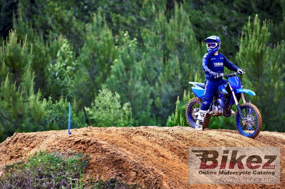 2023 Yamaha YZ85LW