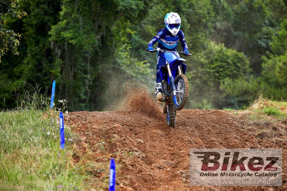 2023 Yamaha YZ85