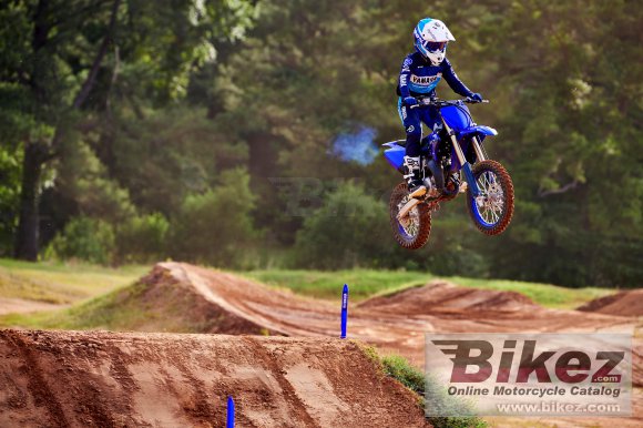 2023 Yamaha YZ85