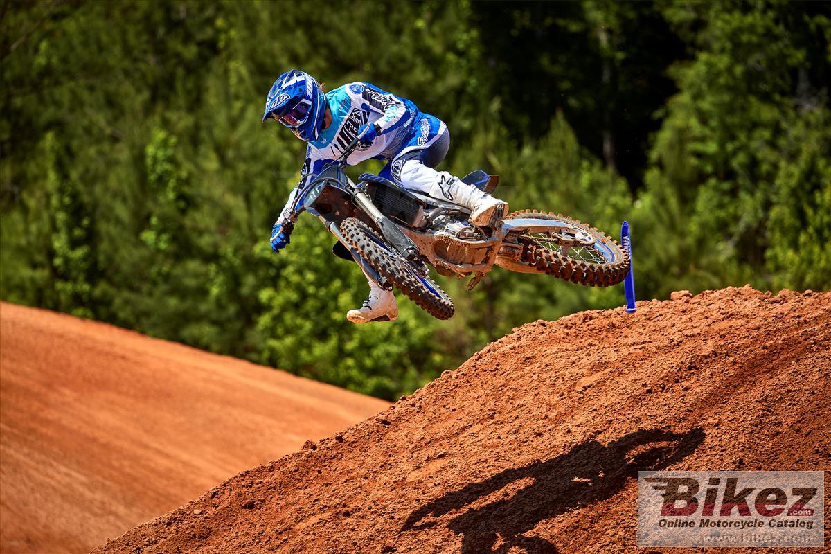 Yamaha YZ250F Monster Energy