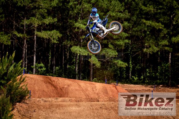 2023 Yamaha YZ250F Monster Energy