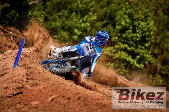 2023 Yamaha YZ250F Monster Energy