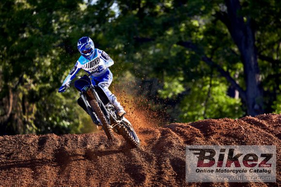 2023 Yamaha YZ250F Monster Energy